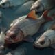 Shocking Reasons to Avoid Tilapia