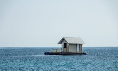 A Home in the Cerulean Sea