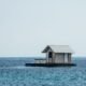 A Home in the Cerulean Sea