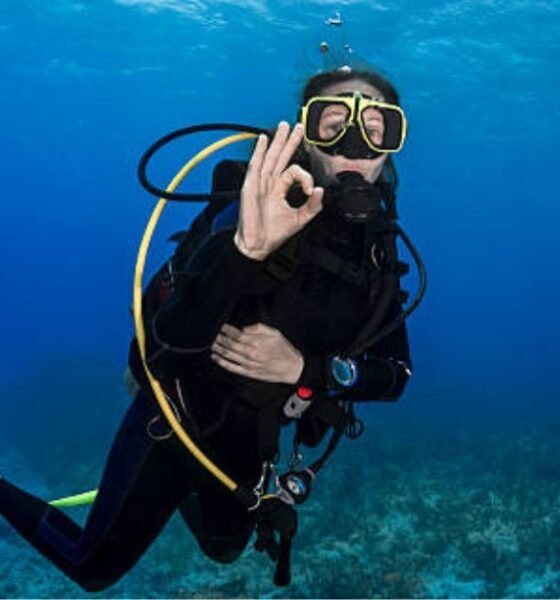 Scuba Diving and Diving Adventures